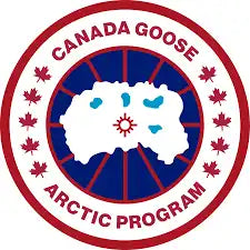 Canada goose